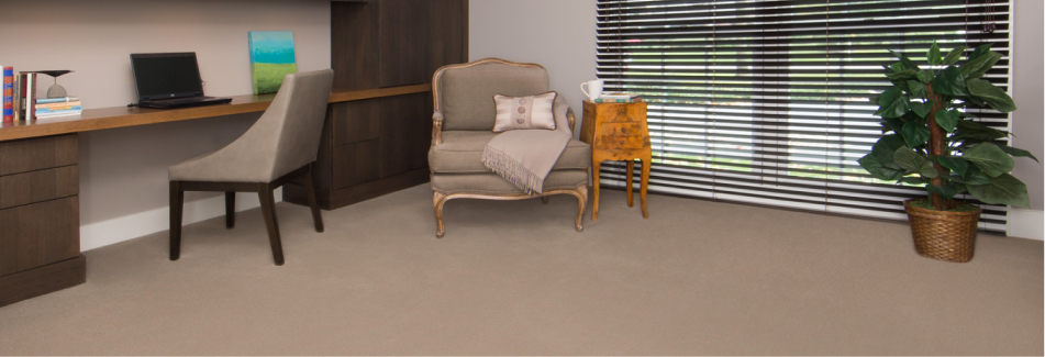 Office - Carpet Office - Carpet