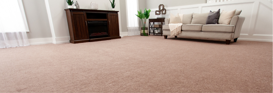 Family - Carpet Family - Carpet