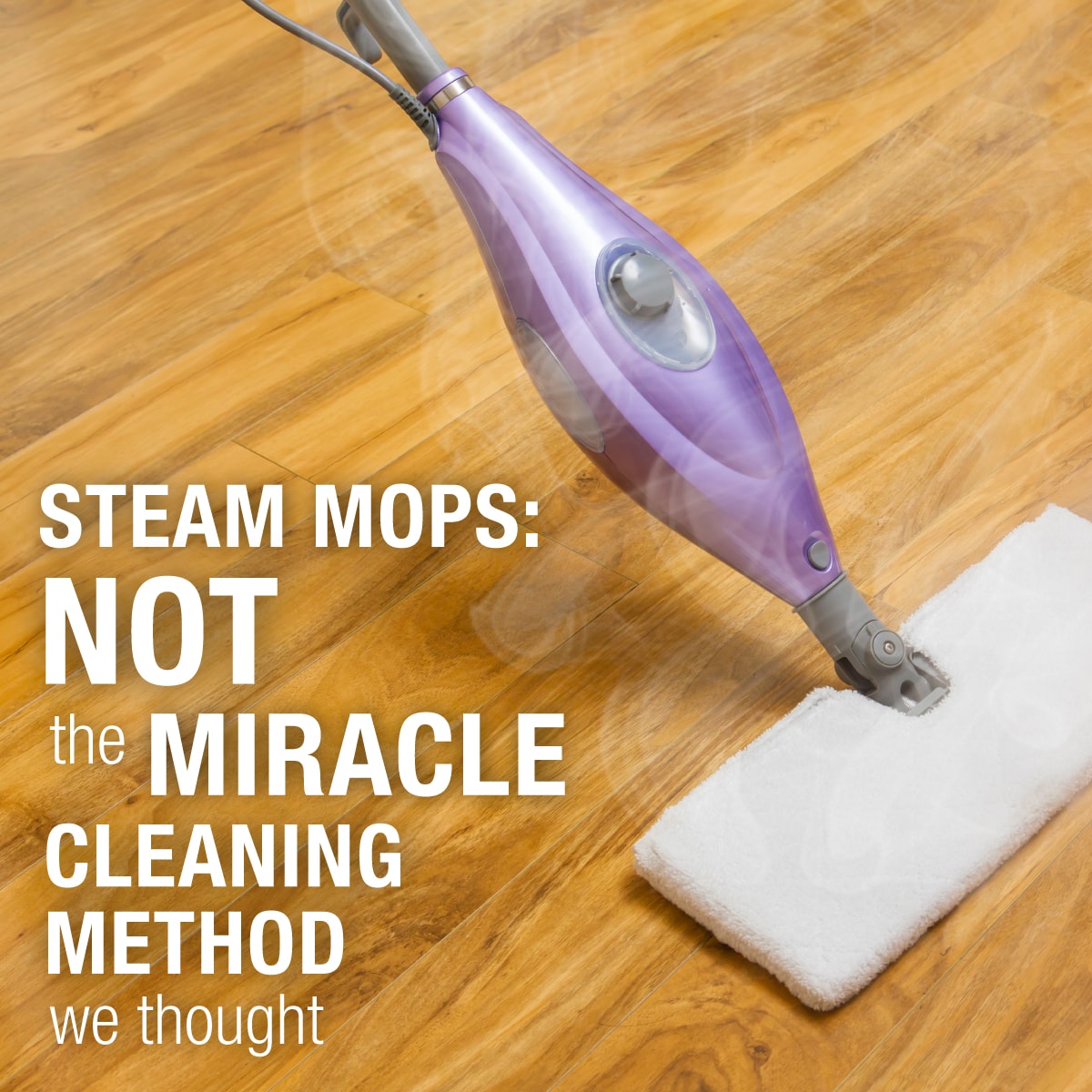 Steam_Mops_1.jpg Steam_Mops_1.jpg