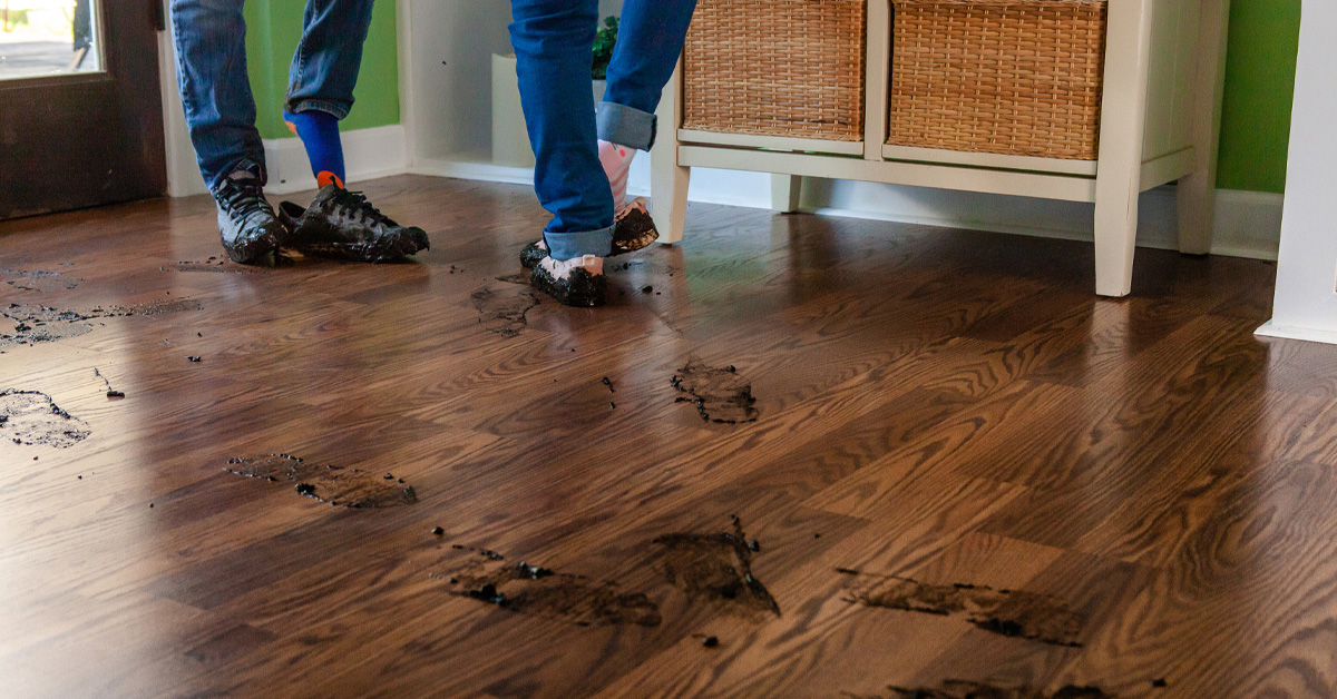 Muddy-2.jpg Muddy-2.jpg